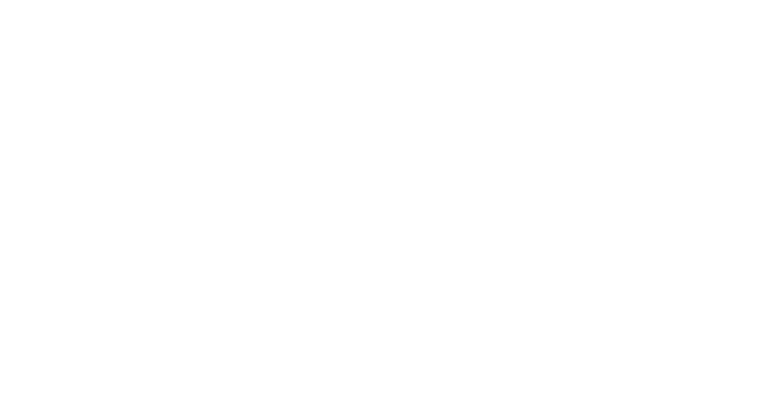 KLW & Partner